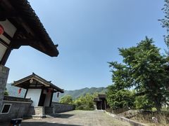 -大唐贡茶院