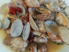 -鲁前海沿儿