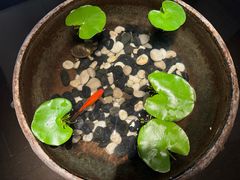 -曲水兰亭(北京四惠店)