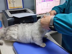 -中农国际动物医院24小时·猫科·骨科·急重症中心