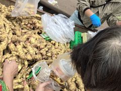 -东仓门早市