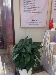 -太原丽都医疗美容医院