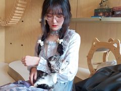 -飞行喵MR PILOT|猫舍·猫咖(静安大融城店)