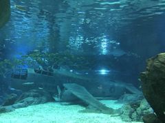 -福州罗源湾海洋世界旅游区