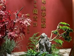 -米桃-吴韵风雅·拙园(北外滩来福士店)