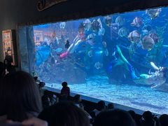 -南昌海洋公园