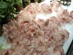 -韩风源烧烤涮自助餐厅(禹州新一峰店)