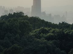 -鹅岭公园瞰胜楼