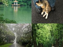 -华南国家植物园-售票处