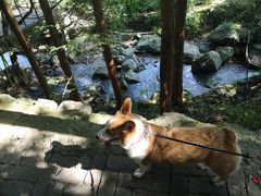 -藏龙百瀑风景区