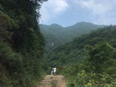 -抱龙峪