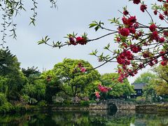 -无锡蠡湖国家湿地公园-蠡园