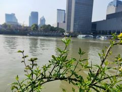 -运河游船(武林门码头)