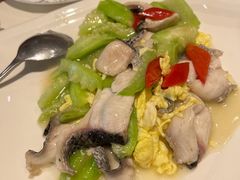 丝瓜炒鱼片-绍兴饭店知遇楼(环山路店)