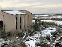 -上海崇明金茂凯悦酒店