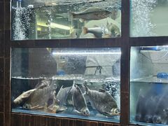 -顺香居·老字号湖北菜(江汉路店)