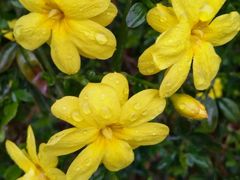 -螃蟹岬(地铁站)