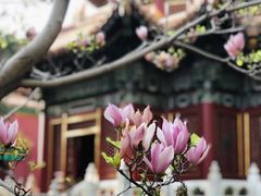 -故宫博物院(故宫)