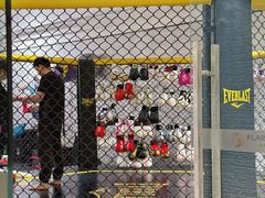 -FLARE STAR FITNESS(复地活力城店)