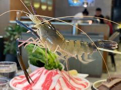 -阿杜打边炉(五江天街店)