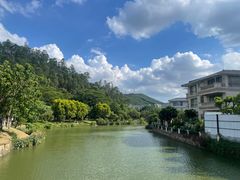 -顺峰山公园