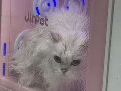 -八公叔叔宠物美容连锁(春申店)