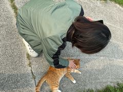 -扬州大运河文化旅游度假区·盆景园