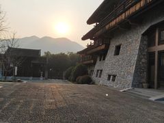 -大唐贡茶院