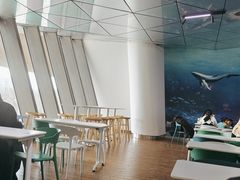 -贝林大翅鲸简餐厅(国家海洋博物馆店)