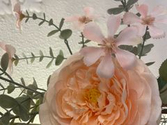 -LE SHARE洛笙·花园西餐(北京路步行街店)