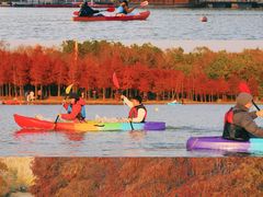 -上海海湾国家森林公园