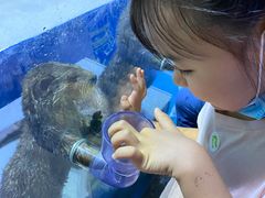 -华夏文旅海洋公园