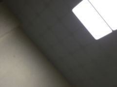 -明星酒店•FORNETTO佛纳朵意餐厅•披萨•意面(湘隆时代广场店)