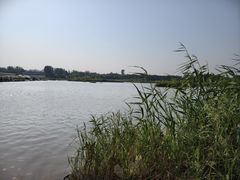 -西安浐灞国家湿地公园