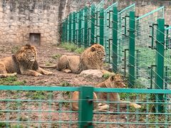 -西安秦岭野生动物园