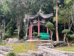 -深圳国际园林花卉博览园