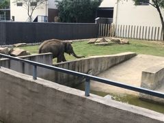 -上方山森林动物世界