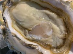 -千岛蚝高压锅生蚝·人参火锅(白云万达店)