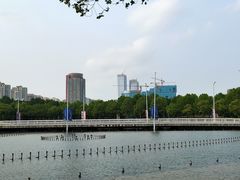 -南京奥林匹克体育中心-体育馆