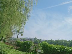 -西安汉城湖景区