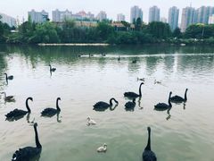 -南昌动物园