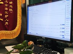 -雨林宠物医院 非犬猫异宠专科
