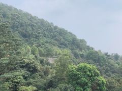 -火炉山森林公园