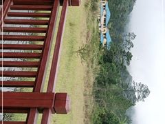 -海南热带雨林国家公园吊罗山景区