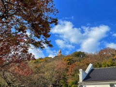 -上海佘山国家森林公园西佘山园