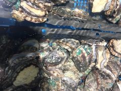 -宝燕海鲜(好爱店)