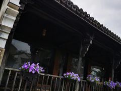 -东梓关景区村庄