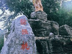 -大岭沟猕猴桃谷风景区