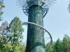 -黄海国家森林公园
