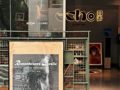 -Echo回声黑胶唱片咖啡馆